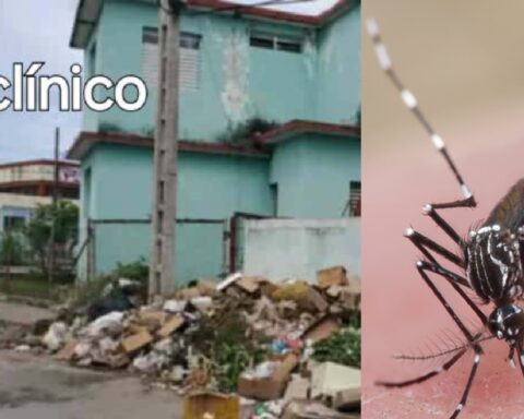 Cubanos en Matanzas denuncian la crisis sanitaria ante las arbovirosis, pero el régimen niega el colapso