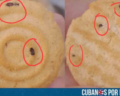¡Cuidado con los niños! Venden galletas con restos de cucarachas en parque infantil de Camagüey