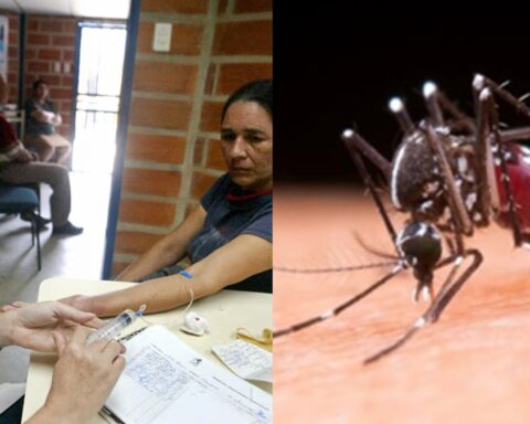 Repunte de arbovirosis en Matanzas obliga al régimen cubano a trasladar médicos hacia esa provincia