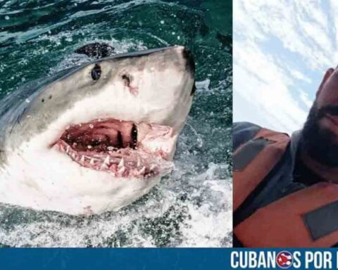 Médico cubano salva la vida de pescador atacado por un tiburón