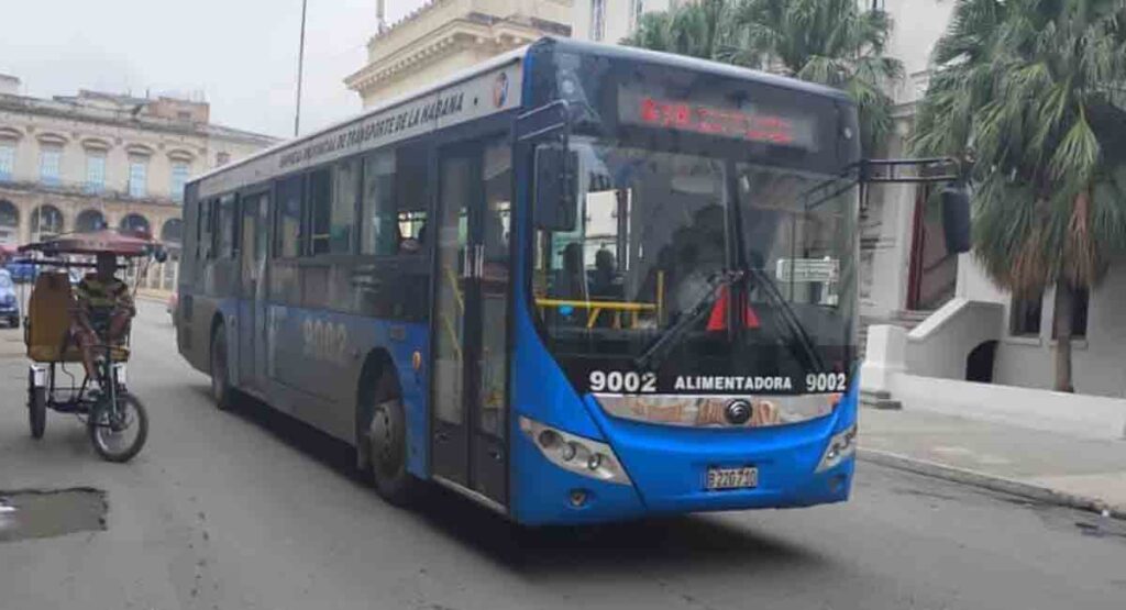 Mujer evita una desgracia al auxiliar a sujeto que se desmayó dentro de un ómnibus en La Habana