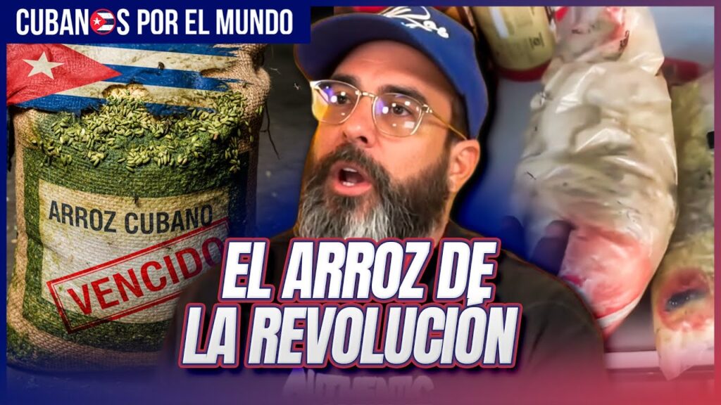 Un cubano denunció que la dictadura castrista le entregó arroz podrido como “ayuda” tras el paso del huracán Melissa por el Oriente de la isla.