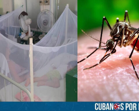 El Observatorio Cubano de Conflictos calificó como “genocidio silencioso” la actual crisis sanitaria que se vive en la isla comunista por la alarmante proliferación de virus, entre ellos, dengue, chikungunya, oropouche, zika y hepatitis.