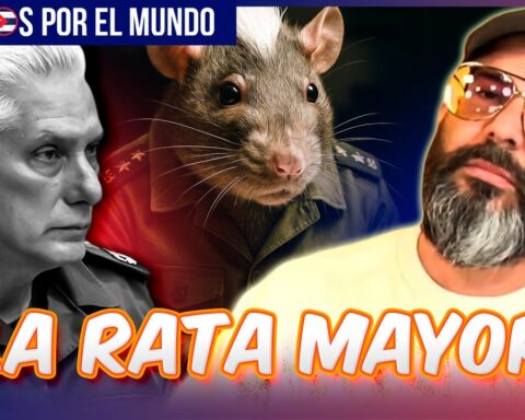 El influencer cubano Alex Otaola respondió a las declaraciones del tirano, Miguel Díaz-Canel, quien llamó “ratas de alcantarilla” y “carroñeros”, a los cubanos del exilio que critican la pésima gestión gubernamental del castrismo antes y después del paso del huracán Melissa por el Oriente de la isla.  