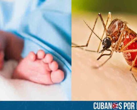 Recién nacidos en Sancti Spíritus también están en peligro por chikungunya