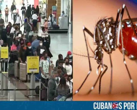 República Dominicana también enciende las alarmas por posibles casos de chikungunya procedentes de Cuba