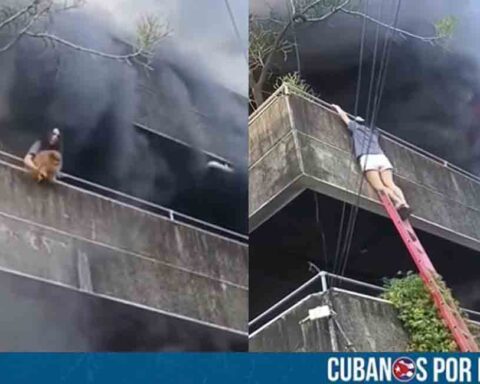 Filipinas: Mujer arriesgó su vida para salvar la de sus perritos durante un incendio en su vivienda