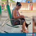 Anciana de Mayabeque sufre el robo de su sillón en el portal de su vivienda