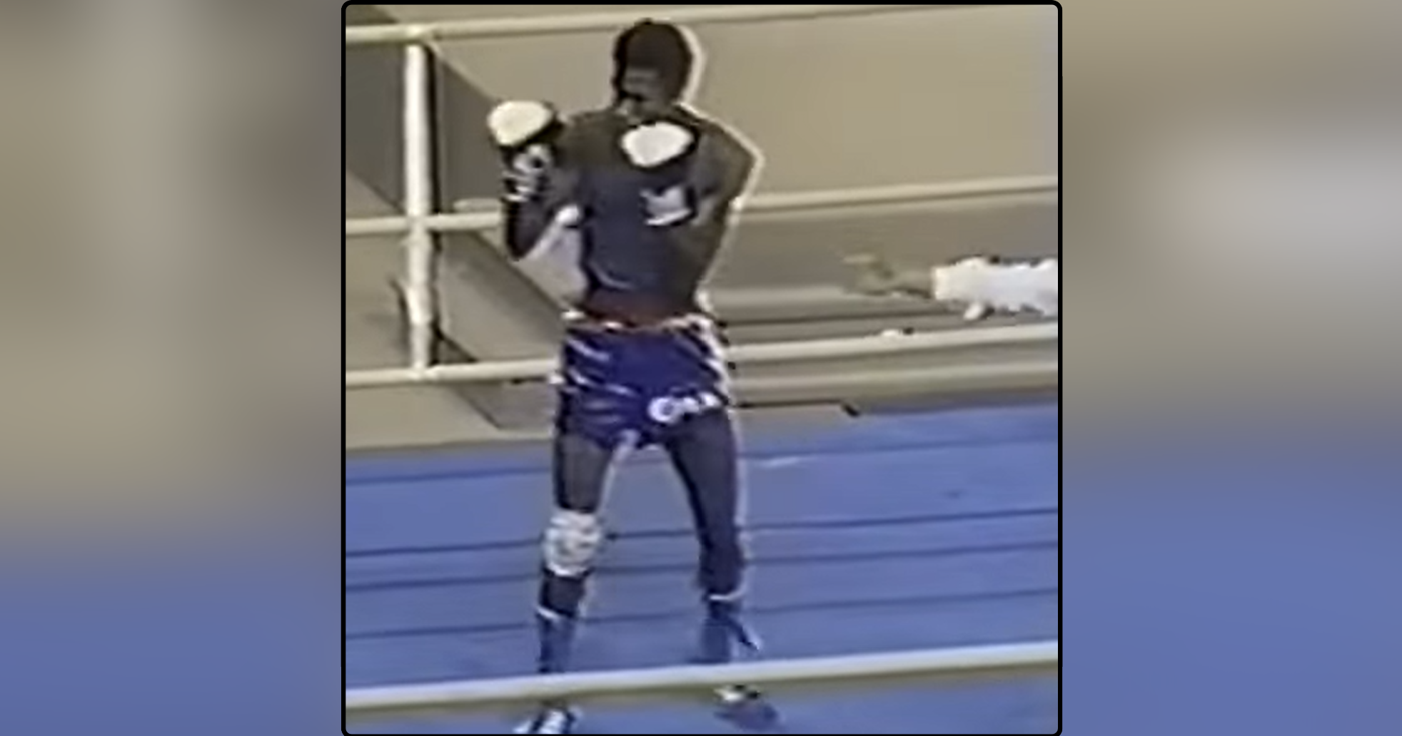 Andrés Aldama, una leyenda entre los boxeadores cubanos