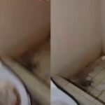 Denuncian las condiciones inhumanas del hospital pediátrico de Matanzas