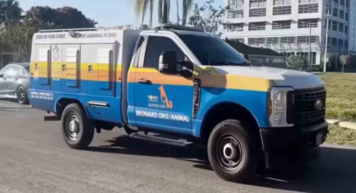 Florida: Niño fue hospitalizado tras ser atacado por el perro de la familia