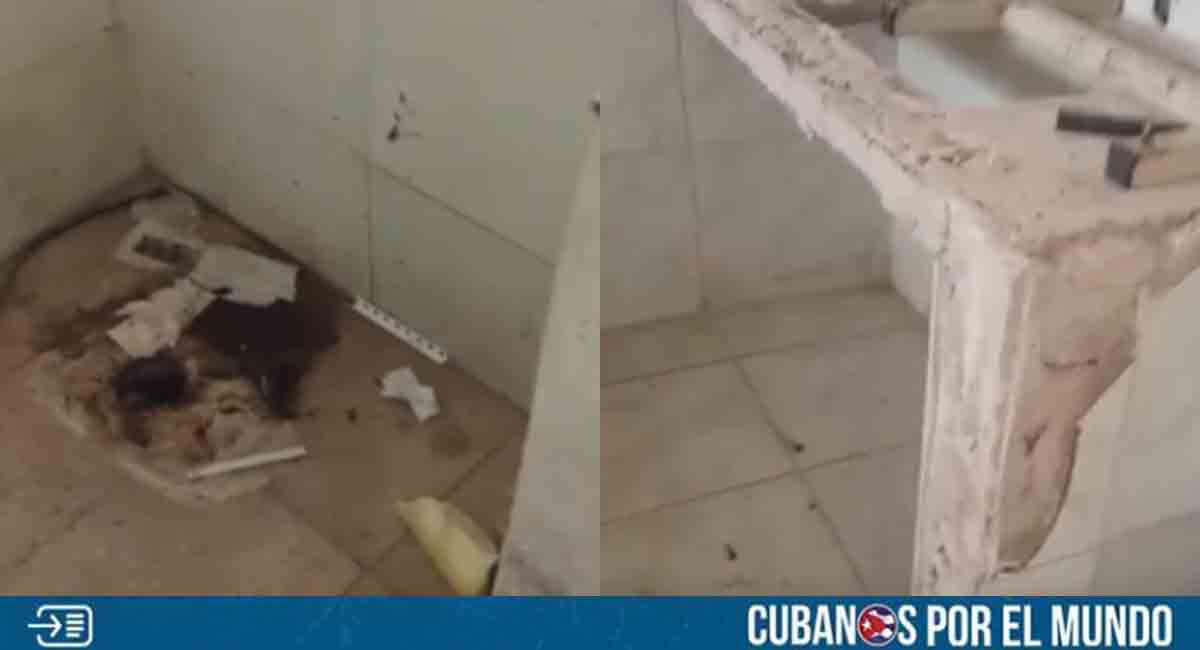 ¿Potencia médica? Reportan presencia de chinches en hospital de Camagüey