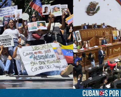 La Asamblea Nacional de Venezuela aprobó este jueves por unanimidad en primera discusión el proyecto de Ley de Amnistía para la Convivencia Democrática, iniciativa presentada por la jefa encargada del régimen chavista, Delcy Rodríguez, como parte de una estrategia legislativa destinada a marcar un nuevo rumbo político tras la captura del exdictador Nicolás Maduro en una operación estadounidense a principios de enero.